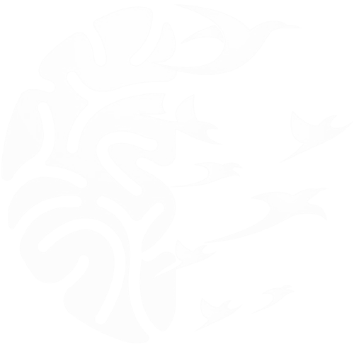 The SOAR™ Protocol